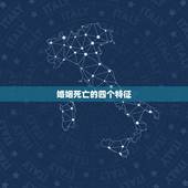 婚姻死亡的四个特征，关于宣布死亡后的婚姻关系及遗产分配