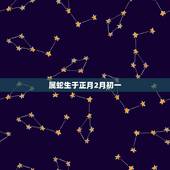 属蛇生于正月2月初一，属蛇正月的男人好不好