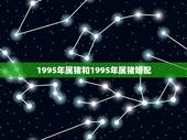 1995年属猪和1995年属猪婚配，1995年属猪的与同年的人婚姻配吗