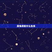 属兔忌配什么生肖，生肖兔最怕哪个生肖