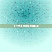 十二生肖的属相的婚配表，最佳属相配偶