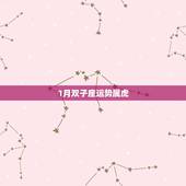1月双子座运势属虎，请问属虎双子座2011的运势如何