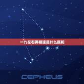 一九左右两相逢是什么属相，91年属羊的女和什么属相最配