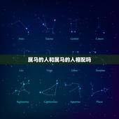 属马的人和属马的人相配吗，属马的婚姻好不好