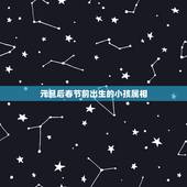 元旦后春节前出生的小孩属相，生肖属像是按元旦划分还是春节区分