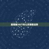 属相猪2021年七月感情运势，2021属猪人全年运势1971