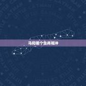 马和哪个生肖相冲.相克，马跟什么相冲相克