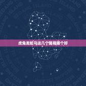 虎兔龙蛇马这几个属相哪个好，父亲属蛇母亲属龙孩子属虎是否相克？