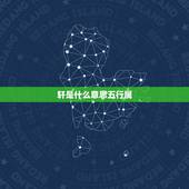 轩是什么意思五行属，轩字五行属什么？