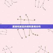 属猪和属鼠的婚配属相合吗，属猪与属鼠相配吗？