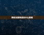 男蛇女属狗适合什么属相，属狗的和什么属相最配