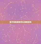 猴子和蛇属相可以做朋友吗，属蛇和猴能婚配吗