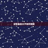 深宫曲皇太子如何婚配，深宫曲怎么杀皇子