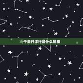 千金开洋行是什么属相，阔佬出手真大方，一掷千金开洋行。猜一生肖