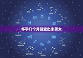 怀孕几个月能查出来男女，怀孕几周可以做b超看出男女