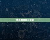 猪遇龙是什么结果，龙遇猪是什么结果
