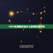 1992年属猴的生什么属相的孩子好，父属猴母属鸡生什么属相的孩子好？