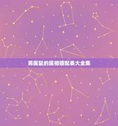 男属鼠的属相婚配表大全集，男属鼠的属相婚配表