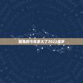 属兔的今年多大了2022虚岁，属兔2022 年运势及运程