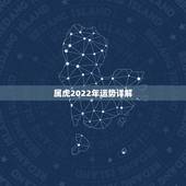 属虎2022年运势详解，生肖虎2022年运势及运程