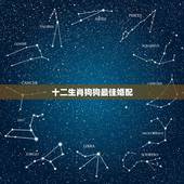 十二生肖狗狗最佳婚配，属狗和什么属相最配 属狗的属相婚配表大全