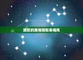 属蛇的属相婚配表相克，属蛇的和什么属相最配 揭秘最佳婚配表