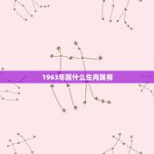 1963年属什么生肖属相，1963年属什么，1963年属相