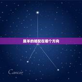 属羊的婚配在哪个方向，1991年属羊婚配方位