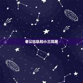 老公出轨和小三同居，老公出轨和小三同居我该不该跟着他不让他去呢