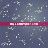 婚配是属相为主还是三元合婚，三元合婚法（宫度合婚法）准还是五行合婚法准