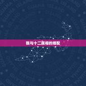 猴与十二属相的婚配，属猴的属相婚配表