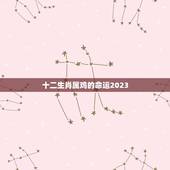 十二生肖属鸡的命运2023，2023年鼠年属鸡的与什么属相合成金局？