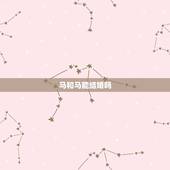 马和马能结婚吗，属马与属马的可以结婚吗？