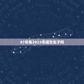 87年兔2022年适合生子吗，87年属兔哪年能生男孩