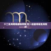十二生肖婚姻最佳搭配 在一起最幸福生肖配对