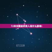 72年女属鼠的贵人是什么属相，1984年的属鼠的生肖贵人是什么？可佩戴