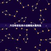 今日特吉生肖小运播报水墨先生，今日是什么生肖冲什么生肖