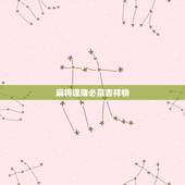 麻将逢赌必赢吉祥物，逢赌必赢，打麻将赢钱的风水你怎么能不知道