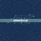 戊寅虎年是什么命，属虎1998年的男孩命运