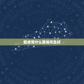 属虎带什么属相吊坠好，属虎的人佩戴虎吊坠好吗