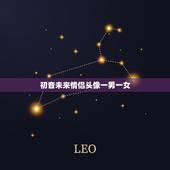 初音未来情侣头像一男一女，初音未来情侣头像