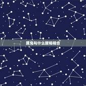 属兔与什么属相相合，属兔的和什么属相相冲不合
