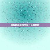 属相龙和属相虎是什么意思呢，属虎和属龙的相冲吗