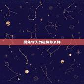 属兔今天的运势怎么样，属兔今年每个月的运气
