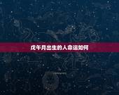 戊午月出生的人命运如何，免费生辰八字测命运