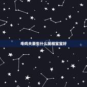 牛鸡夫妻生什么属相宝宝好，龙和鸡夫妻生属什么宝宝好