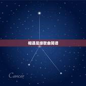 相遇是缘歌曲简谱，求音乐：遇上你是我的缘简谱
