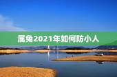 属兔2021年如何防小人，属兔的2021年能探望病人吗？