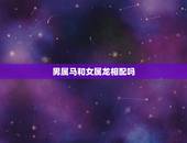 男属马和女属龙相配吗，男属马和女属猴的合不合