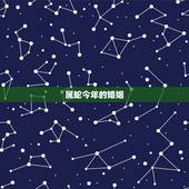 属蛇今年的婚姻，属蛇的属相婚配表